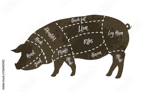 Butcher diagrams of meat cuts, pork, pig - vector illustration