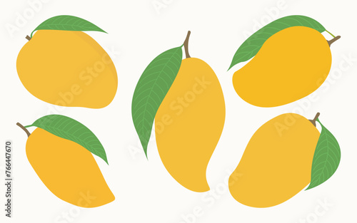 Mango Vector Illustration Hand Drawing Graphic Bundle