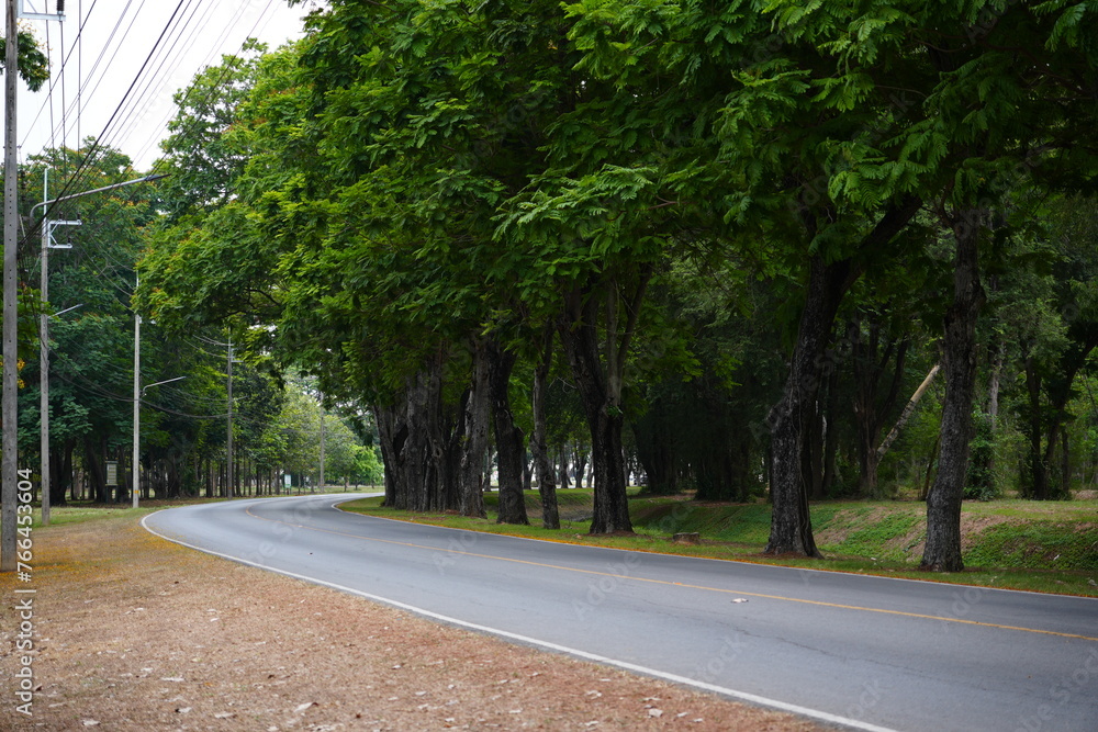 country side road with tree, curve road