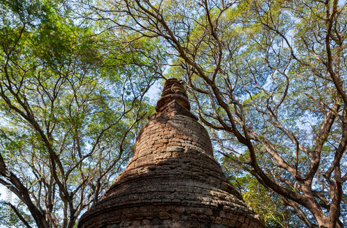 Old buddhist pagoda in shade of trees at Si Satchanalai Historical Park. Thailand. photo