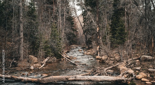 Canyon Creek under the Mogollon Rim in Arizona’s Tonto National Forest. 