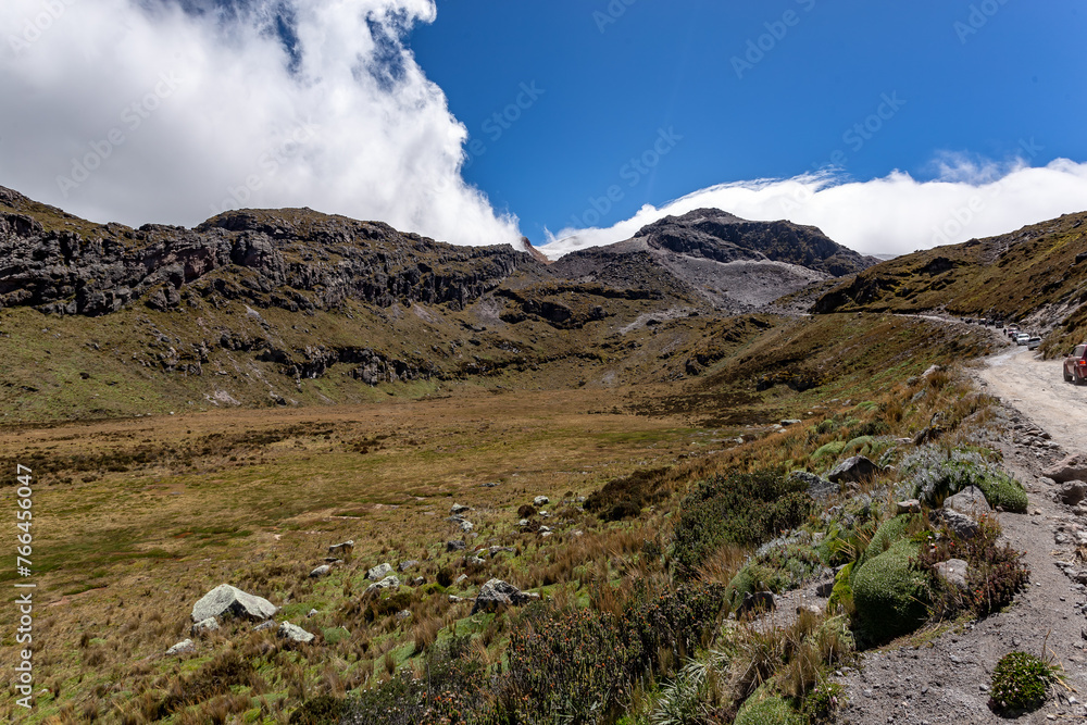 Andean landscapes near the Cayambe volcano and its vegetation in the highlands