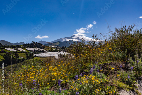 Andean landscapes near the Cayambe volcano, agriculture and livestock in the highlands
