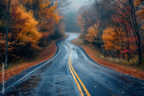 Rain-soaked autumn road with vivid foliage
