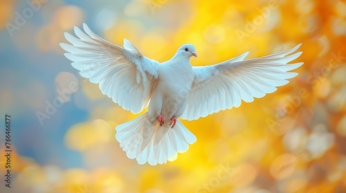 White Bird Flying in Air © yganko