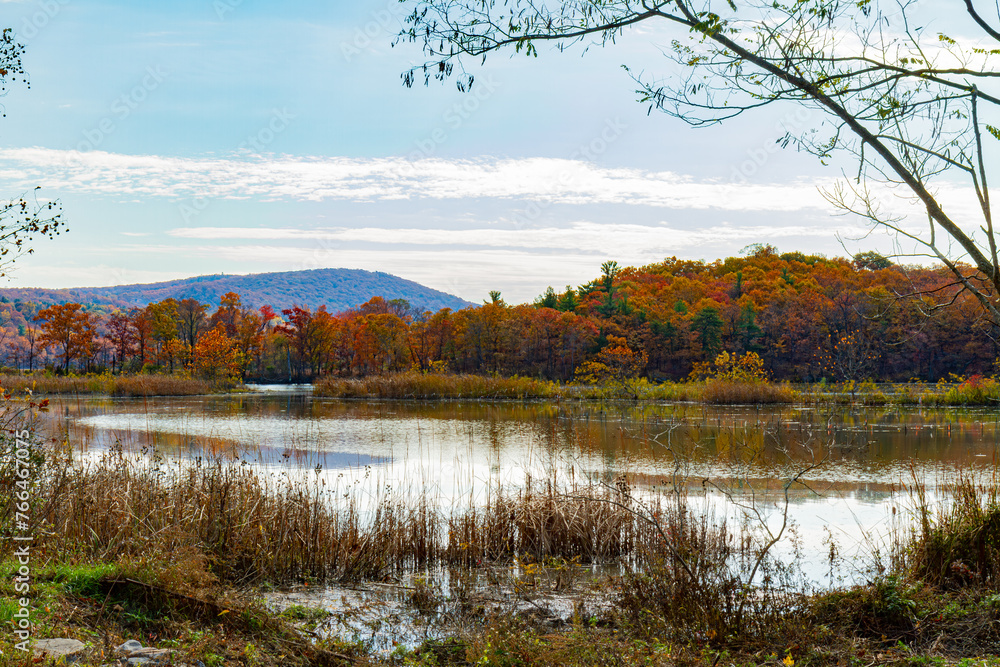 autumn in the park