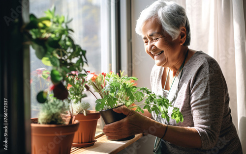 Elderly senior woman takes care of haurasplants, home gardening balcony © perfectlab