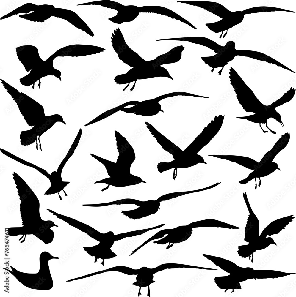 Set silhouette on a white background of a sea gull Set silhouette on a white background of a sea gull
