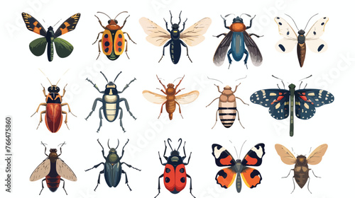 Vintage Insects Reference Illustration Science © Blue