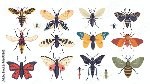 Vintage Insects Reference Illustration Science © Blue