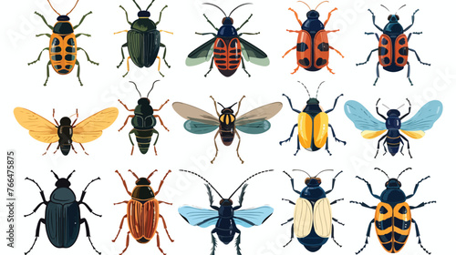 Vintage Insects Reference Illustration Science
