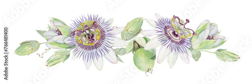 Fototapete Passion flower hand painted watercolor isolated floral illustration