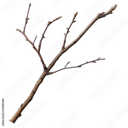 A thin, dry branch with no leaves,isolated on white background or transparent background. png cut out or die-cut