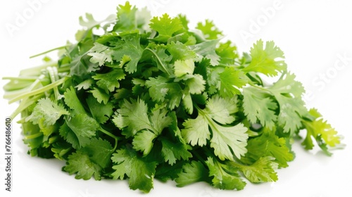 A pile of fresh cilantro on a clean white background. Perfect for food and cooking concepts