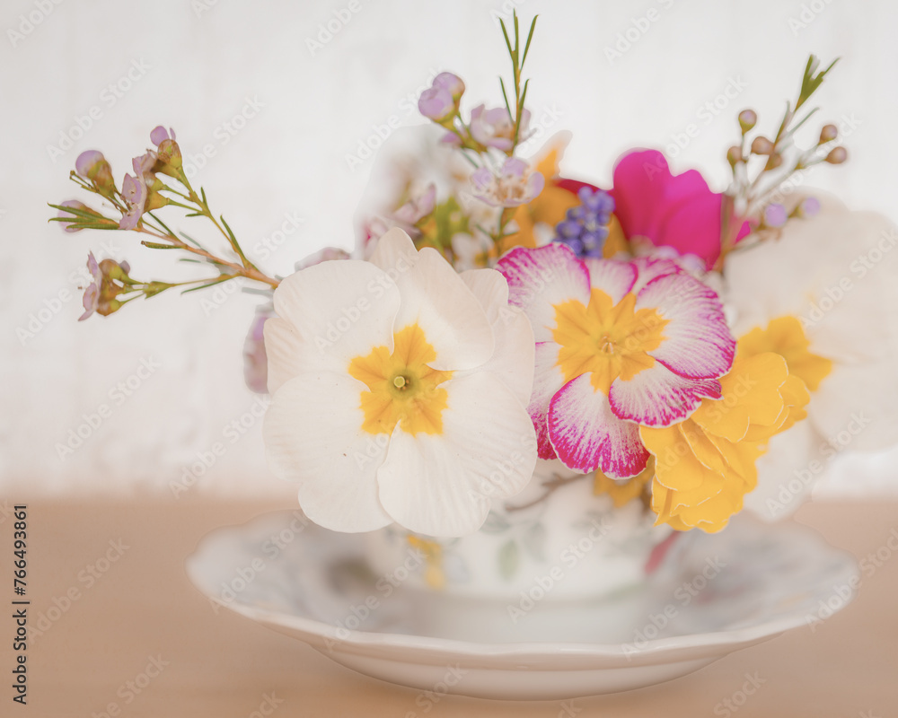Springflowers in a coffee cup with flowers on it Springflowers in a coffee cup with flowers on it