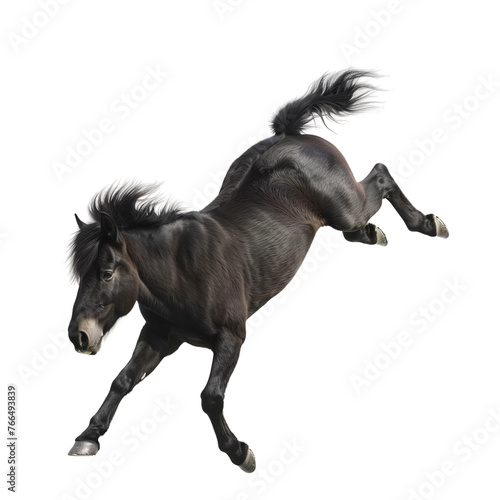 A black pony is running and jumping dynamic pose in the air isolated on white or transparent background, png clipart, design element. Easy to place on any other background.