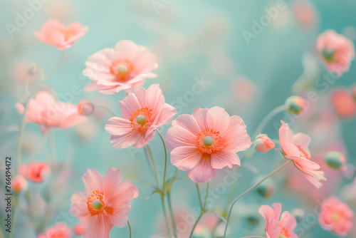 Pink spring flowers on mint background