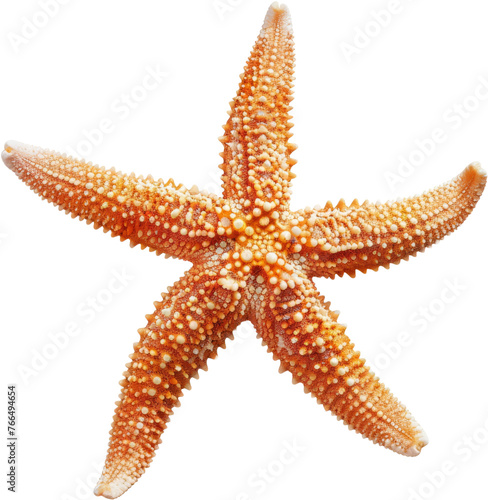 Vibrant starfish with arms outstretched, cut out transparent
