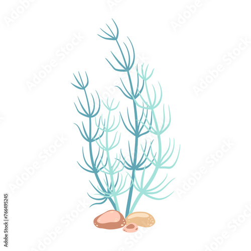 Seaweed. Hand drawn algae colorful seaweed. Underwater plants. Modern flat illustration. Vector illustration