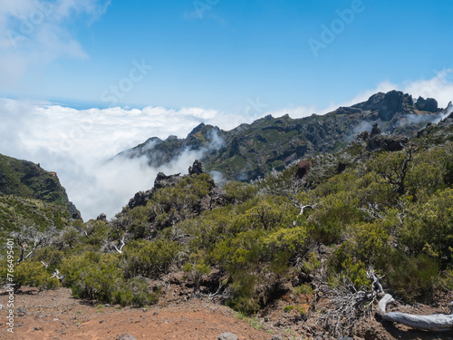 View over green mountains covered with heather, flowers and white dry trees in misty clouds. Hiking trail PR1.2 from Achada do Teixeira to Pico Ruivo, the highest peak in the Madeira, Portugal © Kristyna