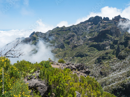 View over spartium yellow flowers and heather bush on green mountains in misty clouds. Hiking trail PR1.2 from Achada do Teixeira to Pico Ruivo, highest peak in the Madeira, Portugal © Kristyna