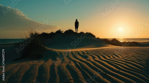 A person standing on top of a sand dune. Suitable for travel and adventure concepts