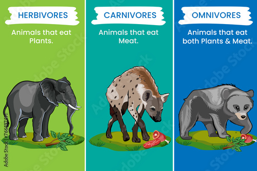 Herbivores eat plants, omnivores eat both plants and animals, carnivores prey on animals
