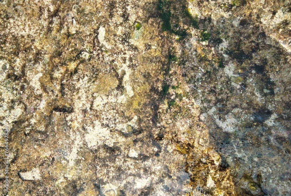 top view of clear water with rock texture, moss, detailed photography in the style of grunge and dirty, hd, high resolution top view of clear water with rock texture, moss, detailed photography in the style of grunge and dirty, hd, high resolution