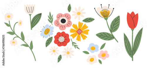 Set flowers and floral elements. Spring and summer nature Botanical objects. Vector illustration in flat hand drawn style 