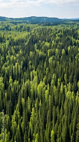 An aerial view of a lush green coniferous forest stretching to the horizon