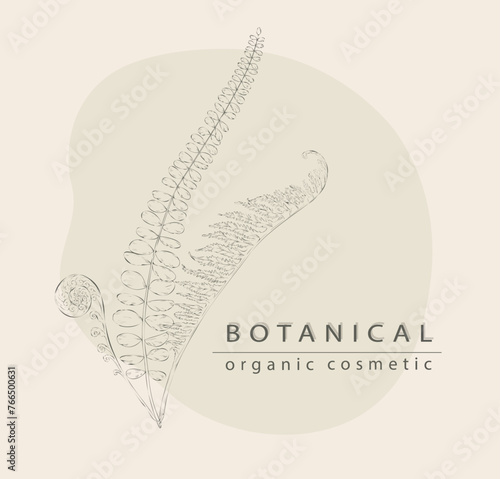 Botanical organic cosmetic. Fern leaves sketch. Wild nature. Forest herbs. Engraving branch. Shop invitation. Natural beauty product. Bracken frond line drawing. Vector card design