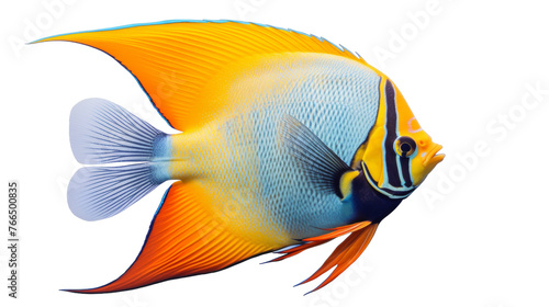 A vibrant yellow and blue fish gracefully swims against a crisp white background