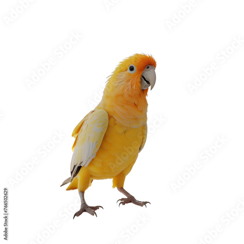 Cute, little yellow parrot with a transparent background