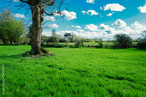 Lush springtime lawn seen adjacent to a livestock paddock in rural Britain. The blue cloudscape is clearly visible to the horizon.