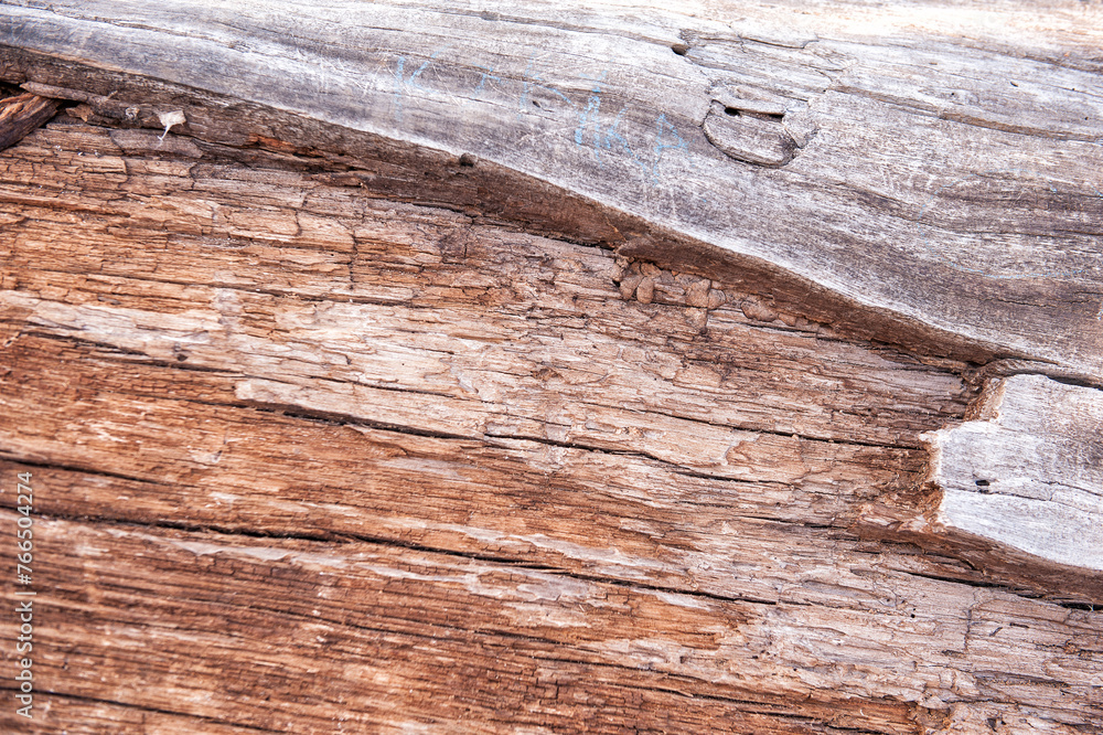 Natural background of old tree bark texture Natural background of old tree bark texture