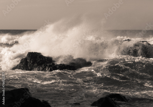 Storm waves at the coast