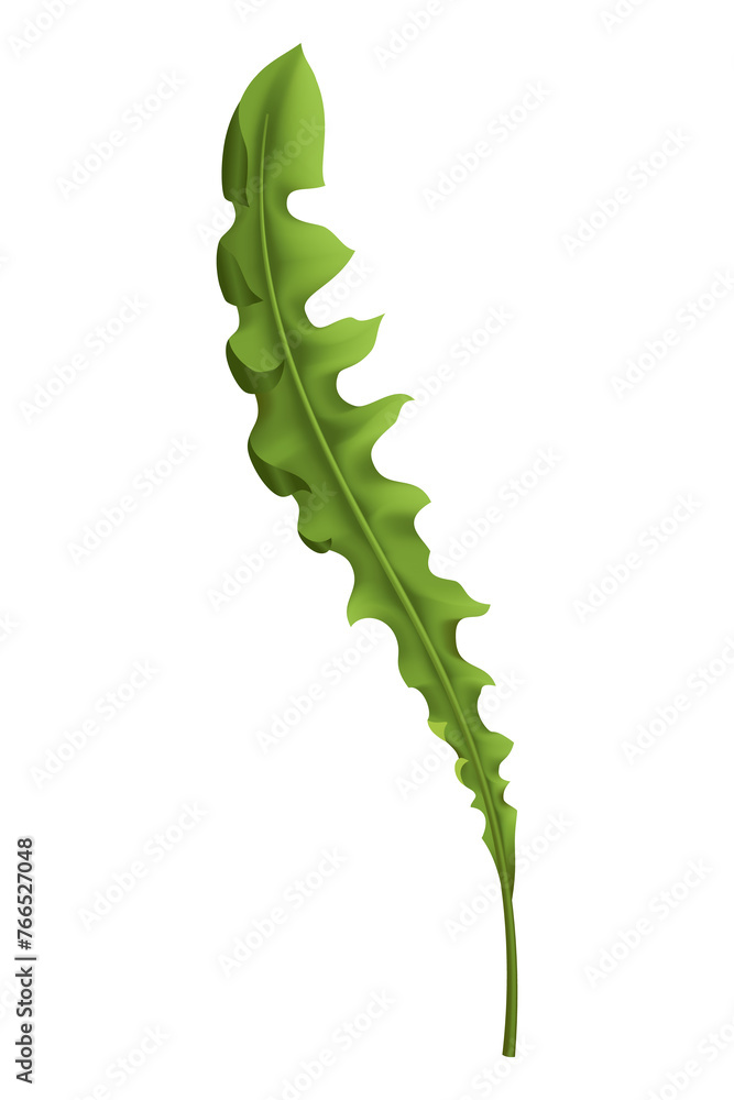 Dandelion. Realistic leaf. Summer natural season element, beautiful grass. icon illustration isolated on white background Dandelion. Realistic leaf. Summer natural season element, beautiful grass. icon illustration isolated on white background