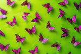 Colorful Pink and Black Butterflies Fluttering in a Vibrant Green and Pink Background, Nature Beauty Concept Illustration