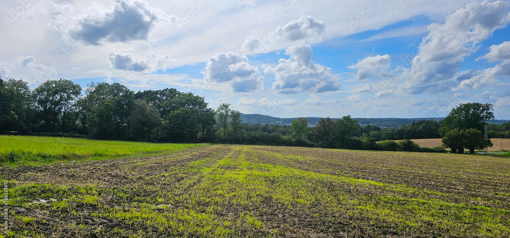 beautiful landscape with green field and clouds on sky.