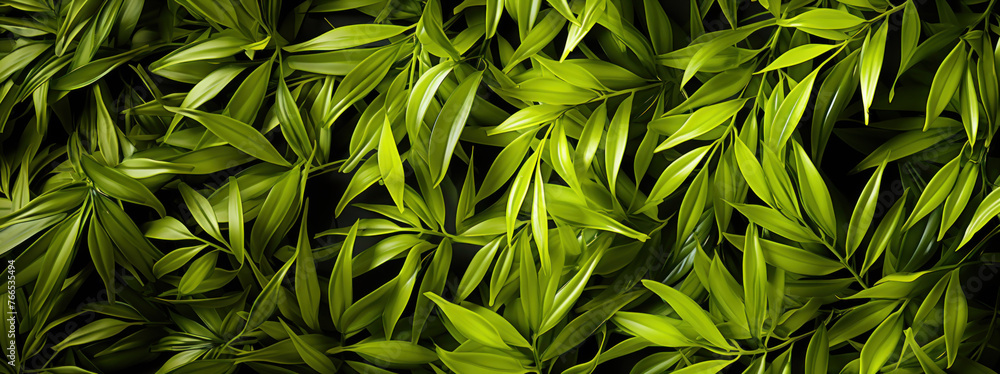 Naklejka premium Background of green leaves