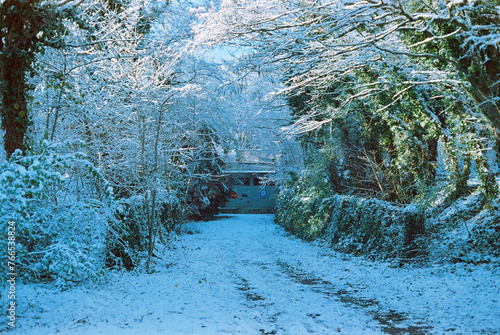 Zdjęcie analogowe drogi i bramy zimą