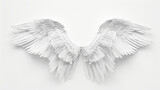 White angel wings isolated on white isolated background