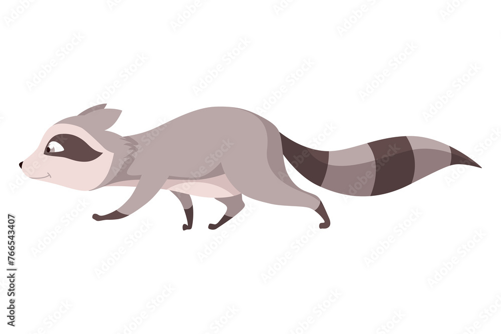 Fototapeta premium Raccoon character emotion. Funny wild coon pose or cute mammal animal, cartoon . Character emoji design isolated on white background