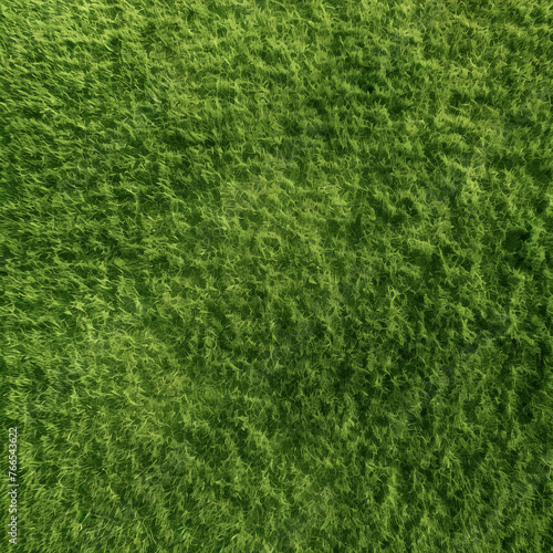 Bird's eye view photo of a lawn