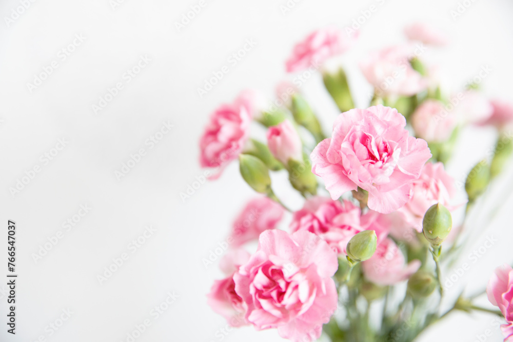 bunch of pink carnation flowers on a white background