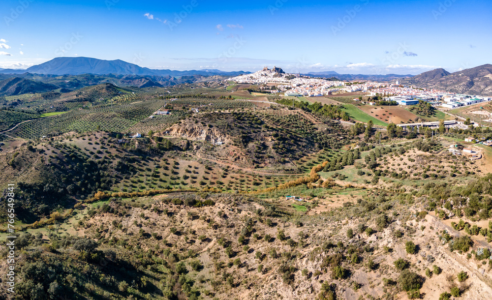 Aerial view of Olvera village and surrounding Olive trees plantation, Andalusia