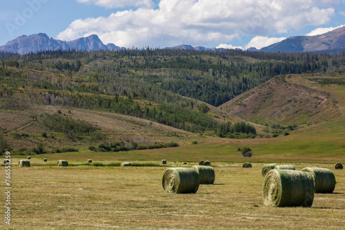 Green hay bales rolled in the summer.  Cultivated fields with multiple hay bales in the foreground with hills in the background.  Farmer's fields with green rolled hay bales and mountainous background photo
