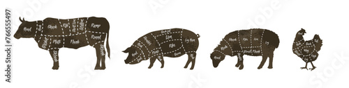Butcher diagrams of meat hen, chicken,sheep, lamb, cow, beef, pork, pig - vector illustration