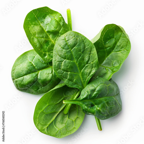 vegetable, food, leaf, lettuce, salad, spinach, fresh, isolated, healthy, leaves, organic, cabbage, diet, raw, white, ingredient, vegetarian, plant, vegetables, green, vitamin, health, head, nutrition