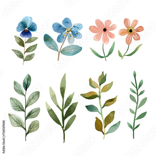 Colorful vector floral collection with leaves and flowers  watercolor drawing.